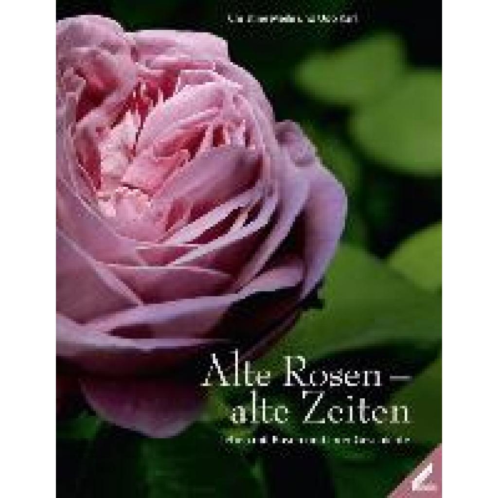 Meile, Christine: Alte Rosen - alte Zeiten