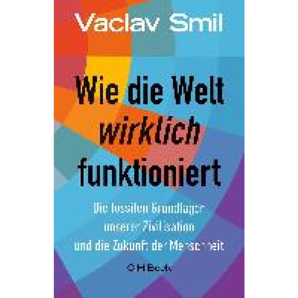 Wie die Welt wirklich funktioniert (Smil, Vaclav)