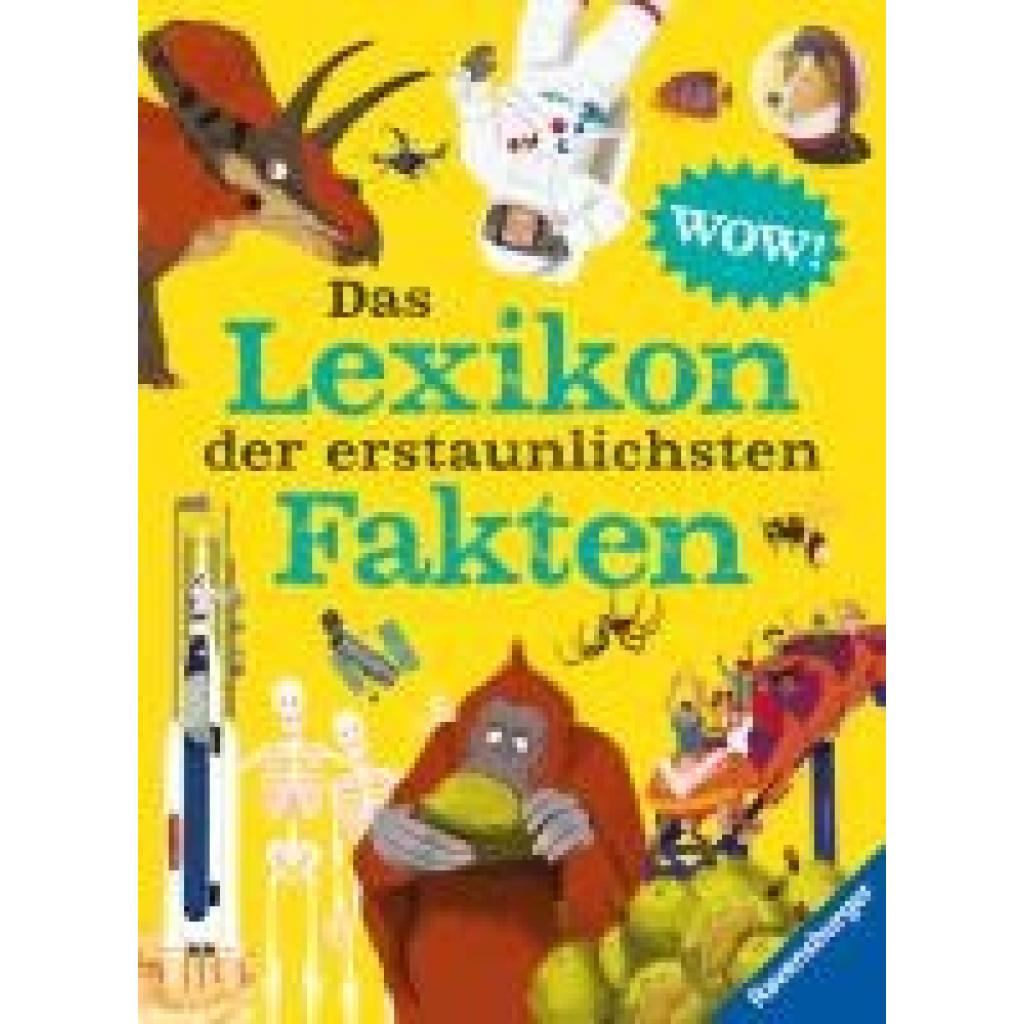 McCann, Jacqueline: Das Lexikon der erstaunlichsten Fakten - die Welt mit neuen Augen sehen: das Nachschlagewerk für visuelles Lernen