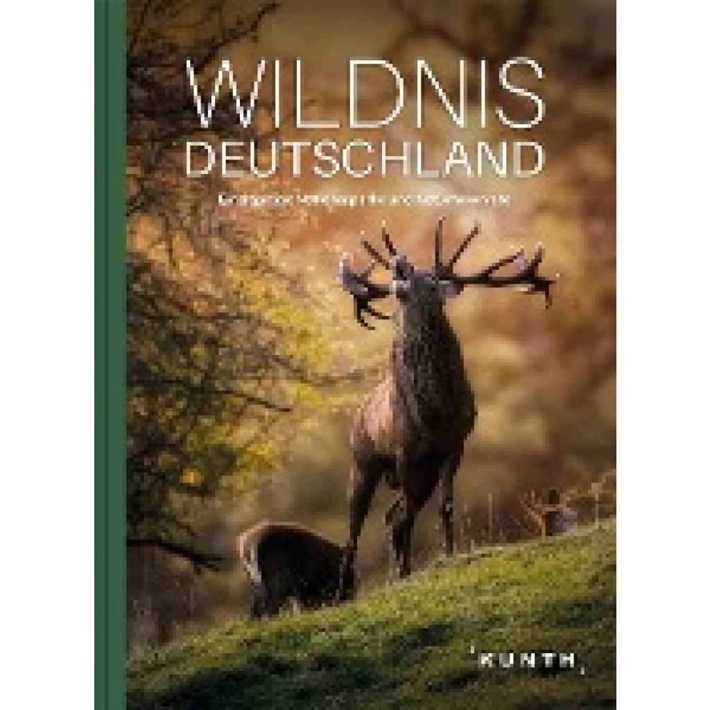 Wildnis Deutschland